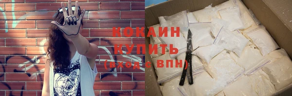 прущие грибы Покачи
