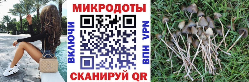кракен ссылки  хочу   Малая Вишера  Псилоцибиновые грибы прущие грибы 